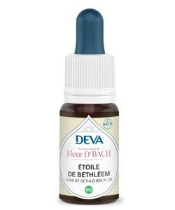 Étoile de Bethléem (Star of Bethlehem - N°29) BIO, 15 ml